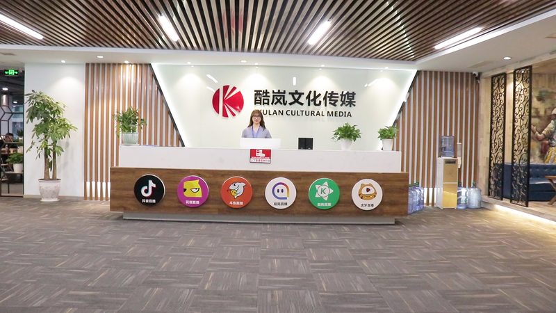 电商直播代运营：揭秘高效流程与关键策略