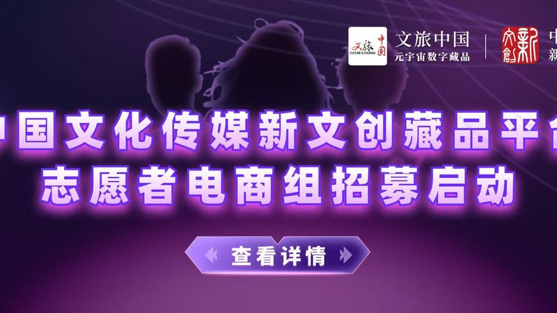 品牌策划定制服务方案怎么写